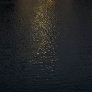 动漫美女姐姐姐免费裸装
