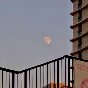 动漫美女姐姐姐免费裸装
