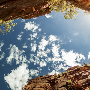 动漫美女姐姐姐免费裸装

